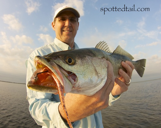 mosquito lagoon fishing repot