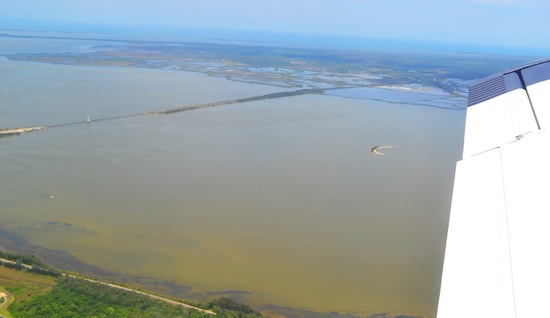 algae bloom in progress, indian river lagoon