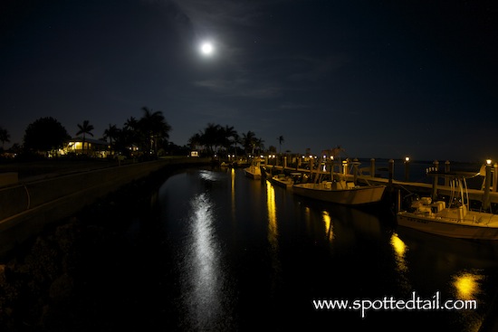 Tarpon Lodge under a full moon.