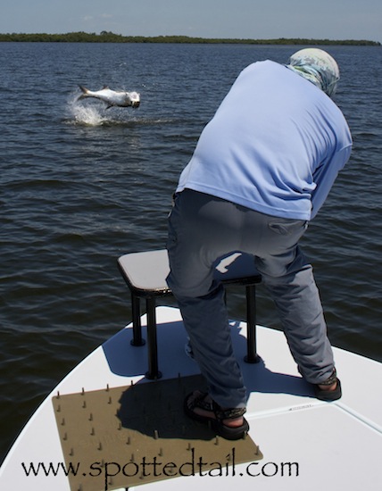 tarpon fishing report