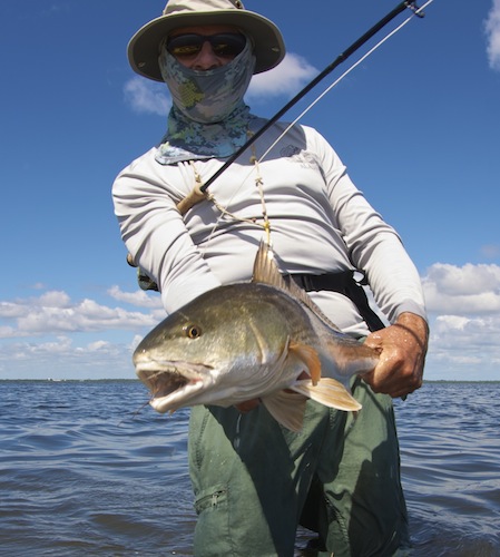 Mosquito Lagoon Archives - Page 5 of 10 - the spotted tail