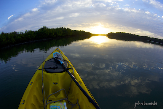 mosquito lagoon fishing report