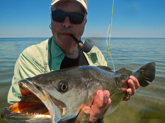 Mosquito lagoon fishing report