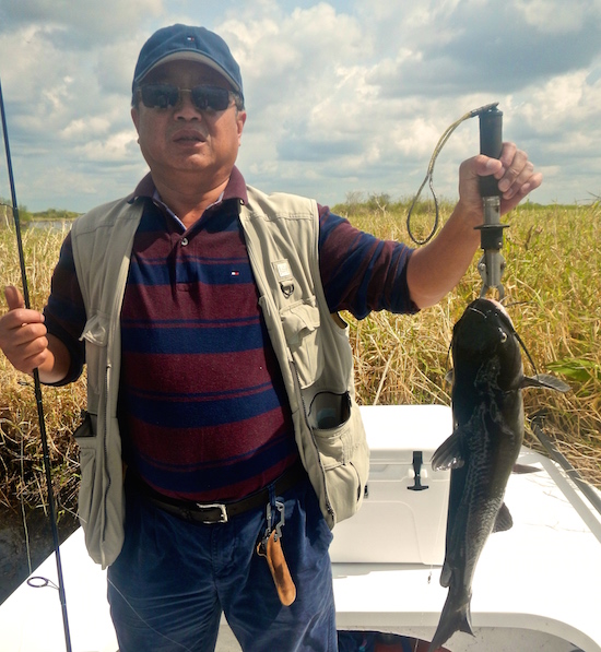 St. Johns River Shad Fishing Report - the spotted tail