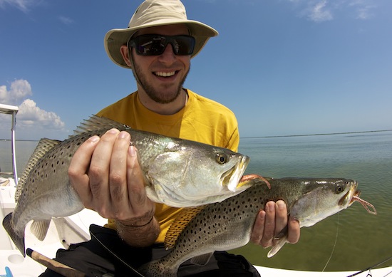 Summer Seatrout in Mosquito Lagoon- the spotted tail