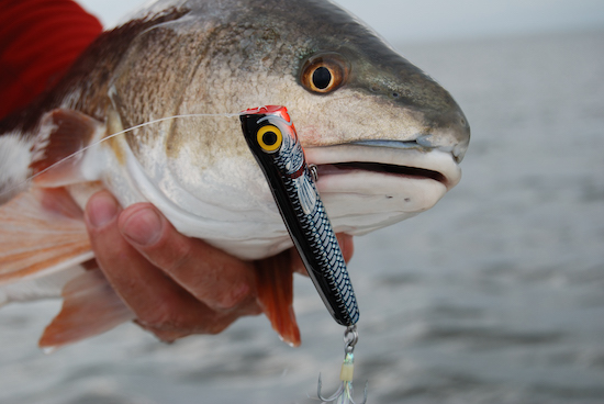 redfish on chug bug - Capt. John Kumiski's Spotted Tail Website
