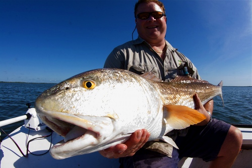 Redfish, Mosquito Lagoon.