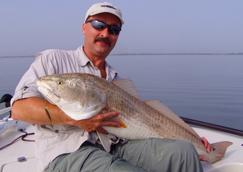 Redfish, Banana River Lagoon. 