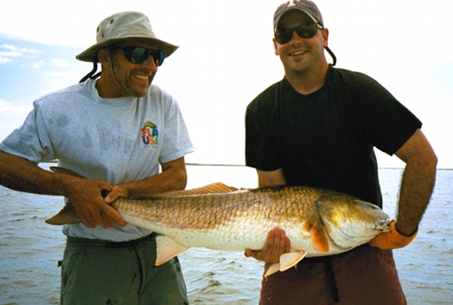 big redfish, indian river lagoon