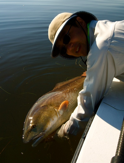 big redfish, indian river lagoon