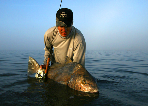 black drum, banana river