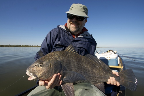 black drum, banana river