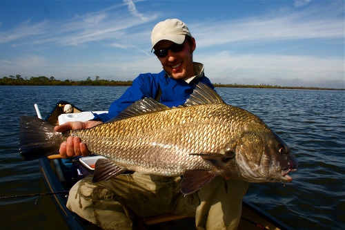 black drum, banana river