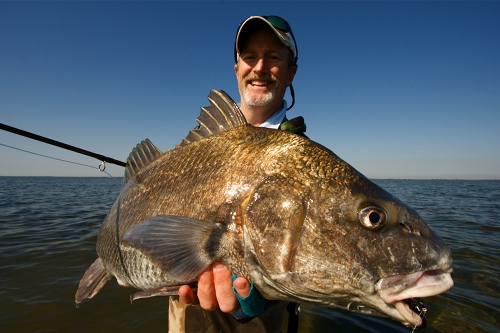 black drum, banana river