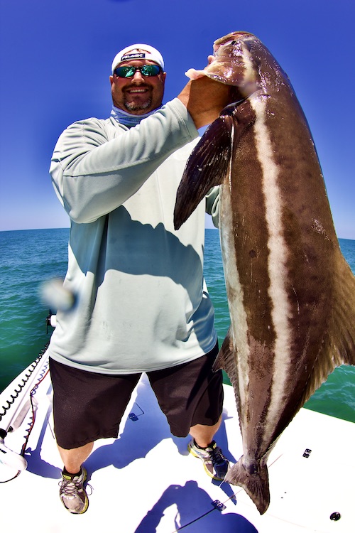 Tormenter Fishing Products - Get Serious - Get Tormenter - Cobia