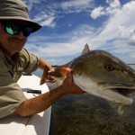 Big Mosquito Lagoon Redfish