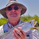 seatrout on jerkworm