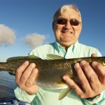 spotted seatrout, indian river lagoon