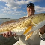 Mosquito Lagoon redfish