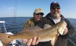 mosquito lagoon fishing report