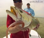 mosquito lagoon fishing repot