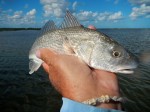 last 2013 mosquito lagoon fishing report