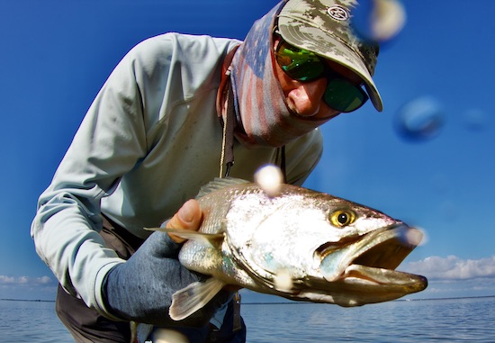 Mosquito Lagoon Fishing Report Archives - the spotted tail