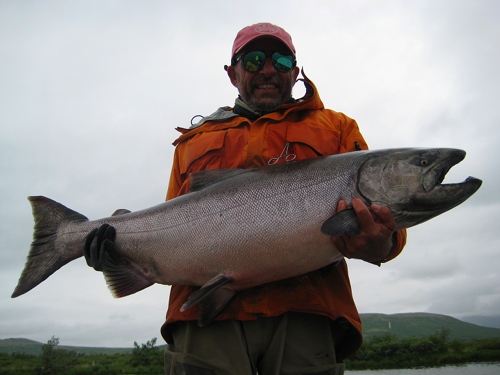 king salmon 