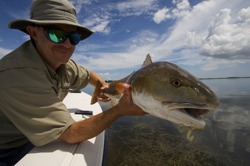 Redfish, Indian River Lagoon.