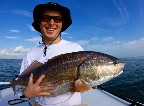 redfish, mosquito lagoon