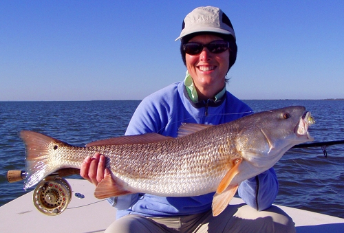 redfish, mosquito lagoon