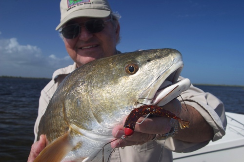 redfish, mosquito lagoon