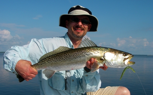 seatrout, indian river