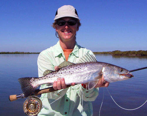 seatrout, mosquito lagoon