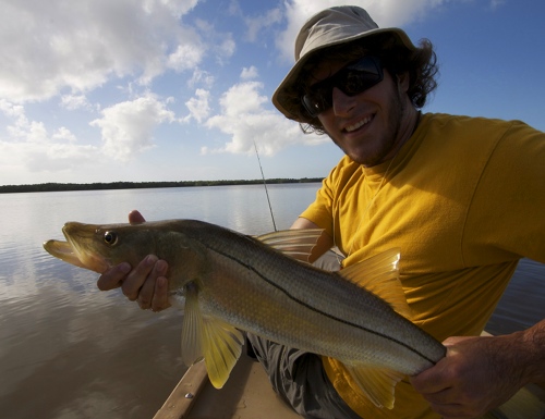 Snook, Banana River Lagoon. 