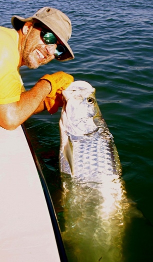 Tarpon, New Smyrna Beach